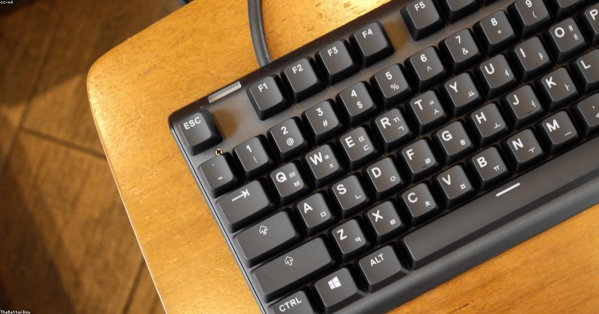 Best Office Keyboards 2026: Top Picks for Productivity