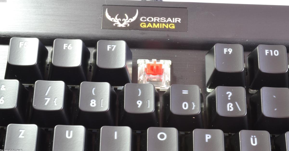 Mechanical vs Membrane Keyboard: Which is Better for Gaming?